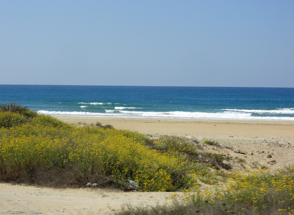 Strand bei Haifa